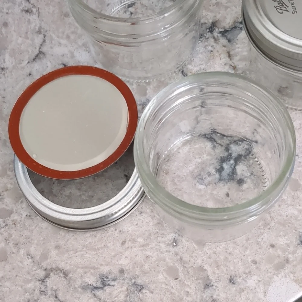 Set of 4 Clear Glass Jars with Silver Lids
